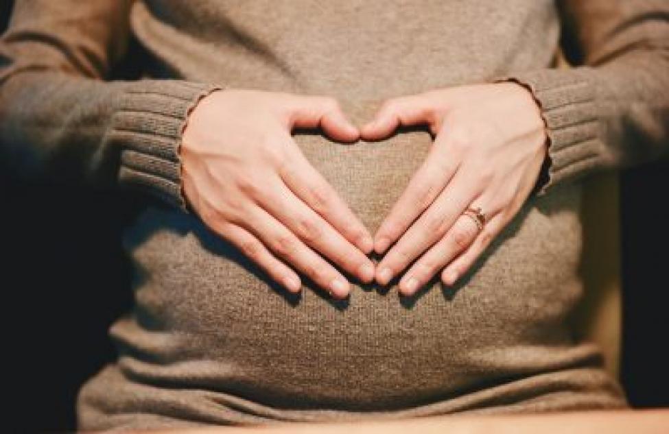 В Искитиме начался прием документов на выплаты пособий беременным женщинам и одиноким родителям