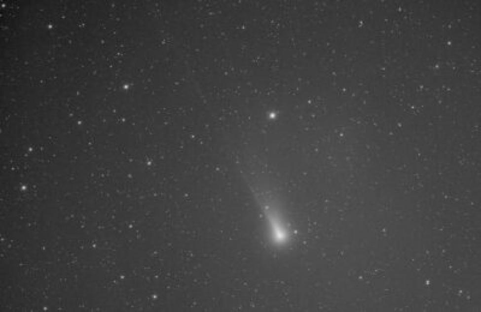 Самую яркую комету увидят в начале декабря жители  Новосибирской области