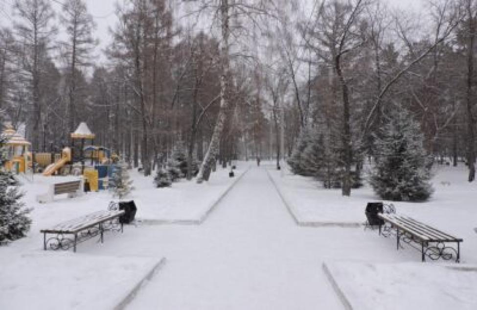 Аномальные снегопады и перепады температур — погода на ближайшие дни в Искитимском районе