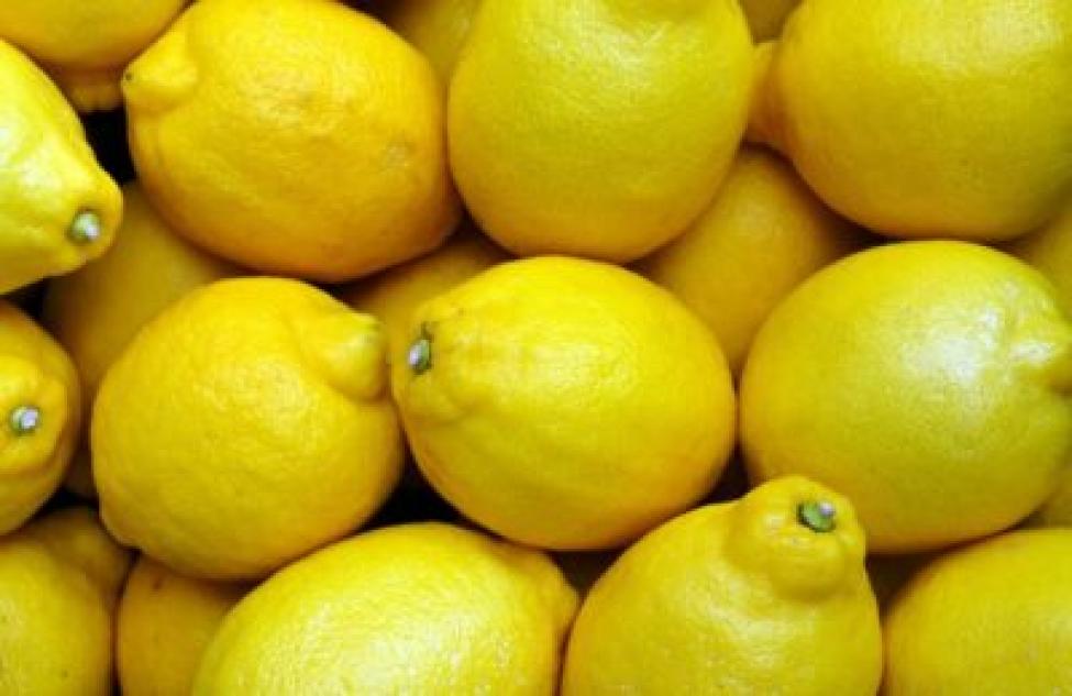 Партию лимонов без документов из Казахстана не пустили в Новосибирскую область