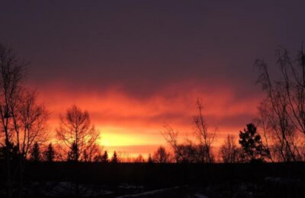 Мощная вспышка класса Х произошла на Солнце утром 6 января 2023 года по новосибирскому времени