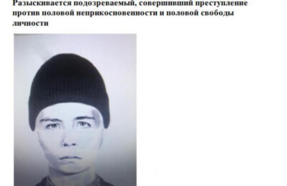 Разыскивается подозреваемый, напавший на двух девочек в Новосибирске