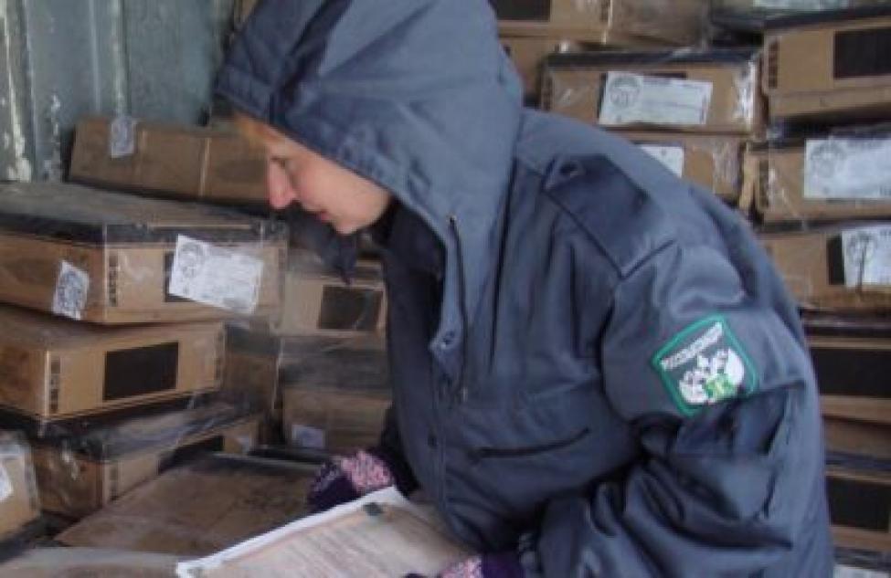 Фальшивые молоко, масло и сайру выявили инспекторы Россельхознадзора в Новосибирской области в минувшем году