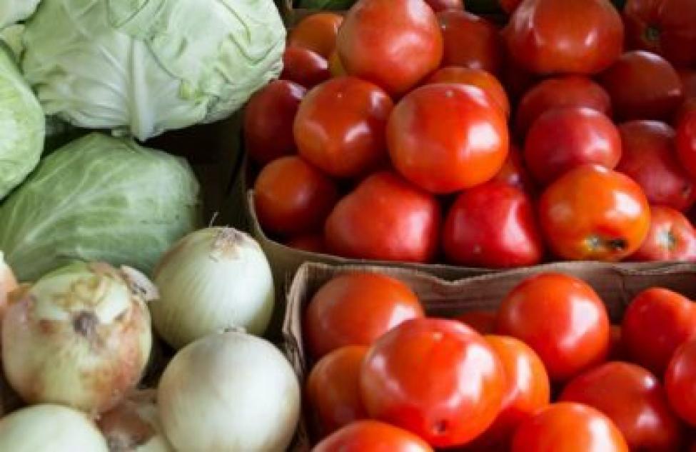 Почти 3000 тонн овощей и фруктов из-за нарушения карантина не пустили в Новосибирскую область