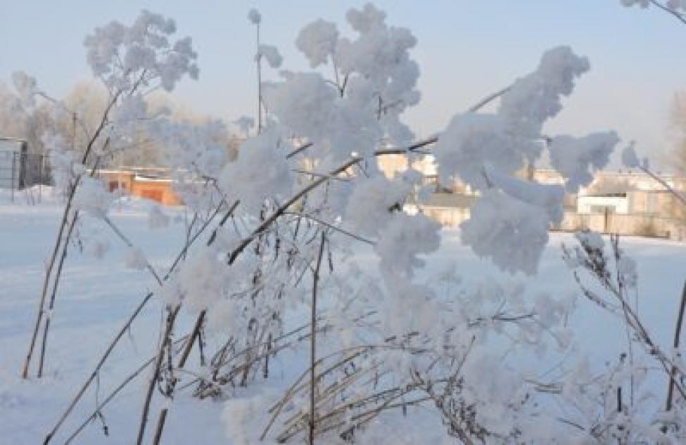 В Новосибирской области с 31 января снег прекратится, возможны морозы до -25 градусов