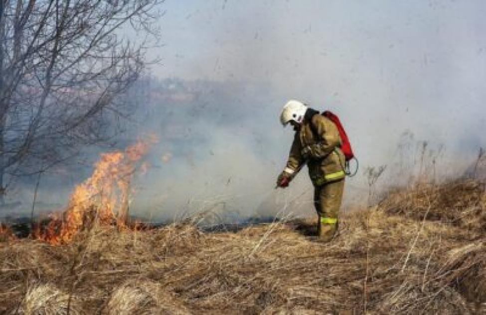 Пожароопасный период объявлен с 15 апреля в Новосибирской области