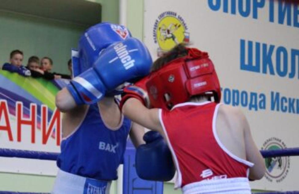 Искитимские боксеры заняли девять первых мест в соревнованиях на призы Александра Винникова