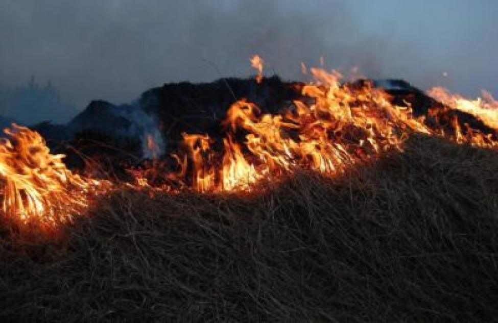 Уголовные дела завели на виновных в пожарах в Новосибирской области