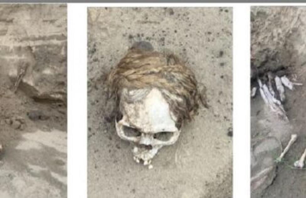 Человеческие кости и черепа обнаружили на берегу Обского моря жители Новосибирской области