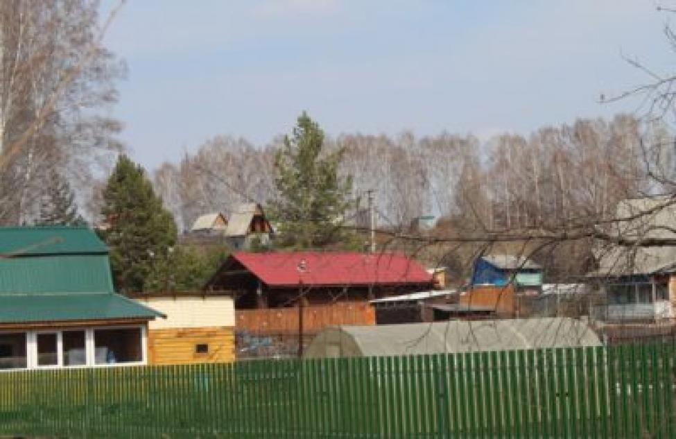 Вопросы «дачной амнистии» больше всего интересуют садоводов в Новосибирской области