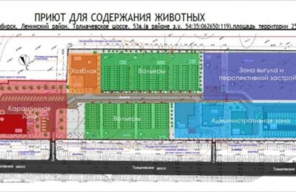 Современный приют для бродячих животных будет построен в Новосибирске