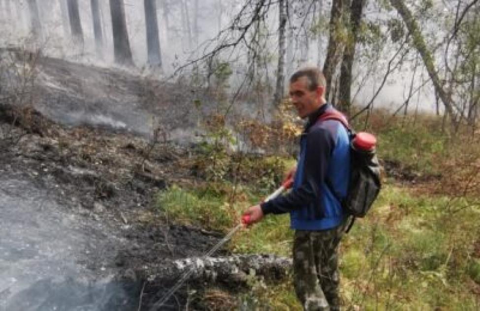Девственный лес горел на горе Зверобой в Искитимском районе
