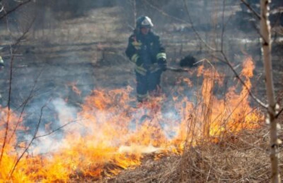 Ландшафтные пожары вернулись в Искитим осенью