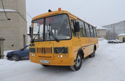 Из-за морозов в Новосибирской области отменили школьные маршруты