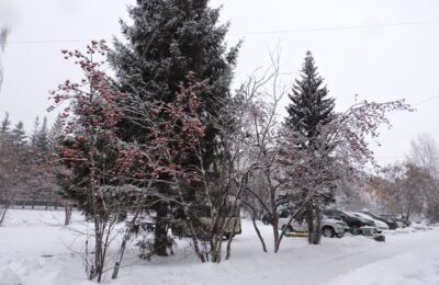 Морозы до -24 градусов до конца недели задержатся в Новосибирской области, когда ждать снег?