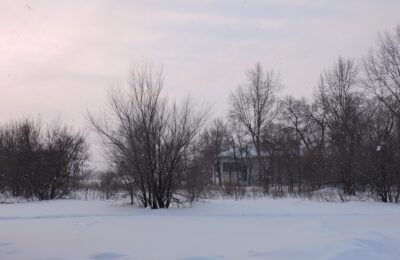 Сильные морозы до -39 градусов ударят в ближайшие выходные в Новосибирской области
