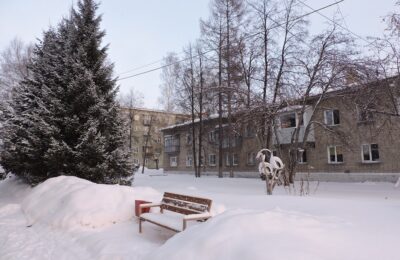 Аномальное потепление выше климатической нормы с 23 января ожидается в Новосибирской области
