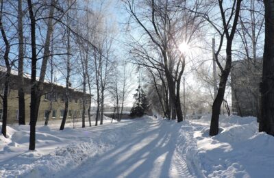 Четыре выходных дня с 23 февраля будут у жителей Новосибирской области