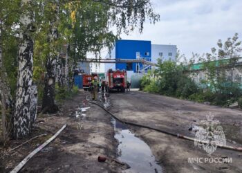 Фотография ГУ МЧС России по Новосибирской области с сайта 54.mchs.gov.ru