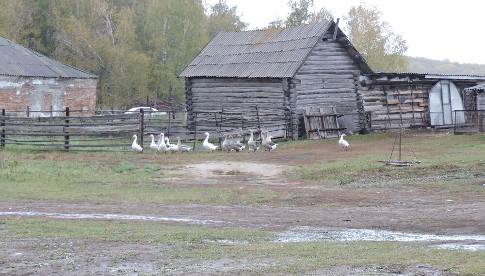 Фото из архива редакции