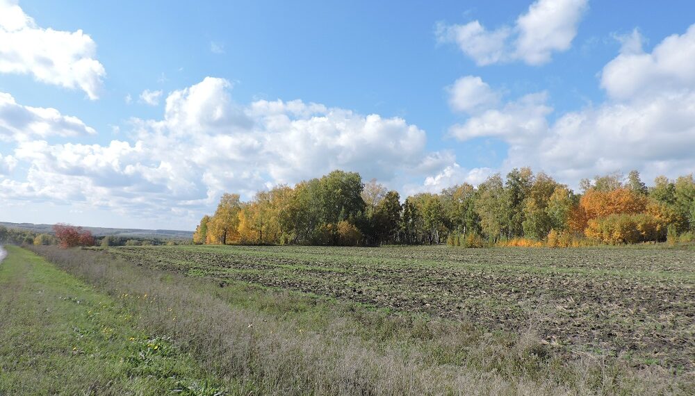 Искитимский район. Фото Анны Зубаревой