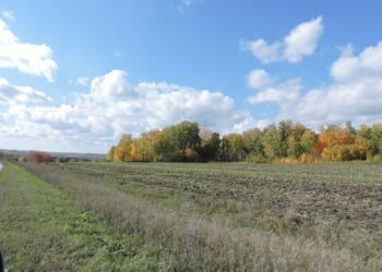 Искитимский район. Фото Анны Зубаревой