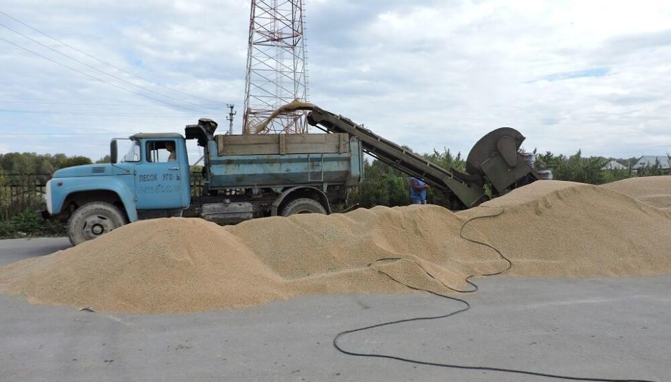 В ООО «Алмаз» практику походили три студента. Двое третьекурсников работали на зернотоке. Фото Анны Зубаревой