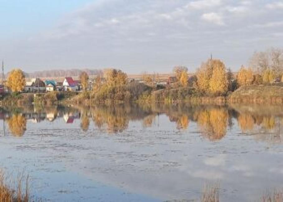 Золотая осень. Фотография Ирины Голиченко.