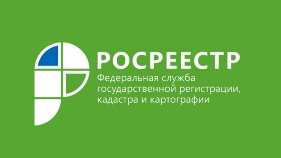 Новосибирский Росреестр – на Платформе обратной связи - Искитимская газета