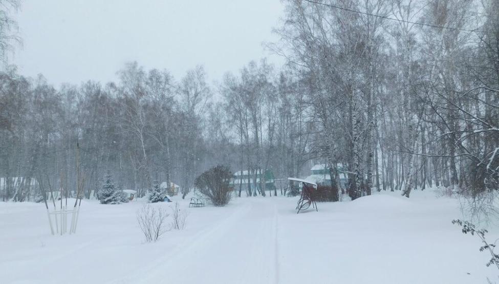 Во второй половине недели начнутся осадки. Фото Анны Зубаревой