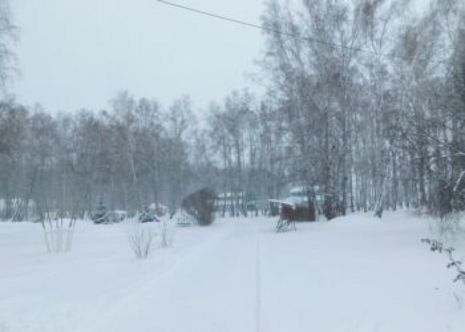 Во второй половине недели начнутся осадки. Фото Анны Зубаревой