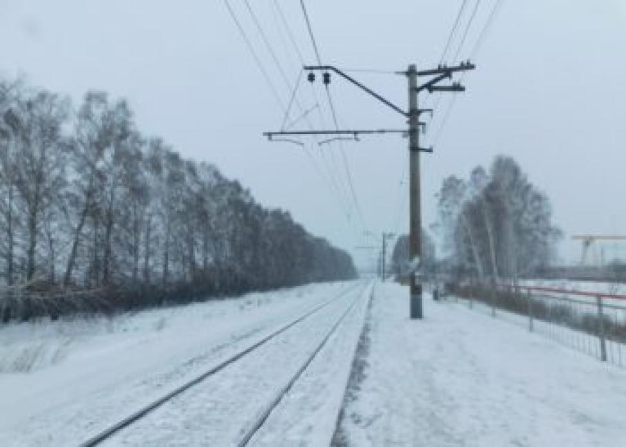 В первую половину пятницы мела метель. Фото Анны Зубаревой