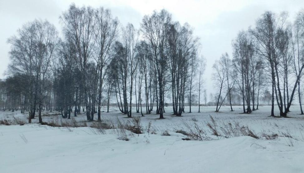 Февраль вспомнил, что он зимний месяц и вернулся в климатическую норму. Фото Анны Зубаревой