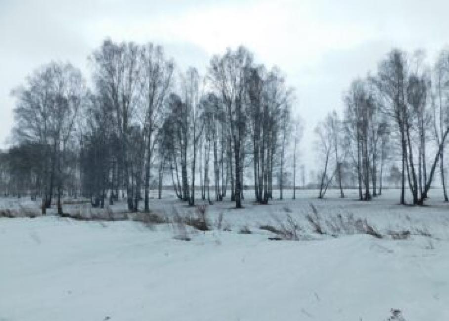 Февраль вспомнил, что он зимний месяц и вернулся в климатическую норму. Фото Анны Зубаревой