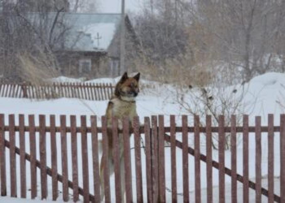 Фотография Анны Зубаревой.