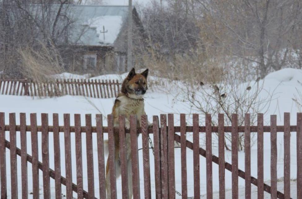 Фотография Анны Зубаревой.