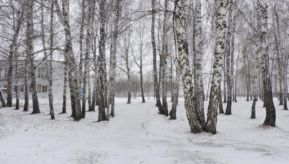 Фотография Анны Зубаревой