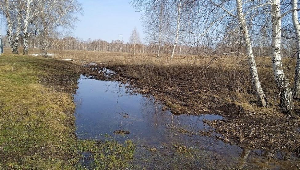 Если будет ясно в воскресенье, то по народным приметам, и лето будет хорошим. Фотография Анны Зубаревой