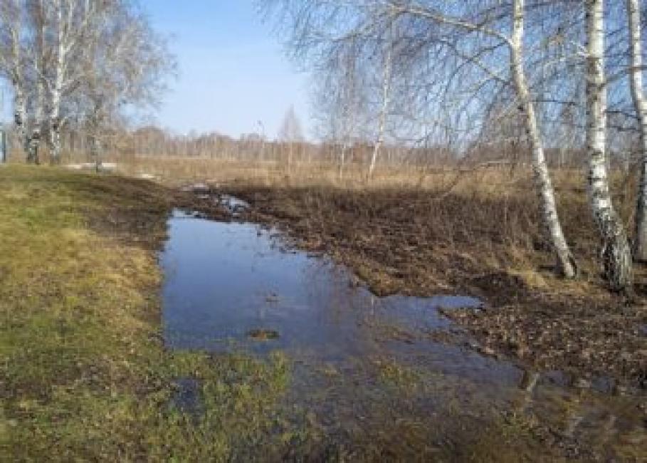 Если будет ясно в воскресенье, то по народным приметам, и лето будет хорошим. Фотография Анны Зубаревой