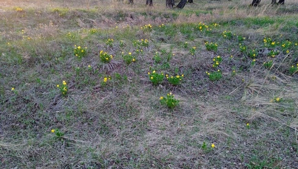 По-летнему жаркая погода продержится два первых дня на этой неделе. Фото Анны Зубаревой