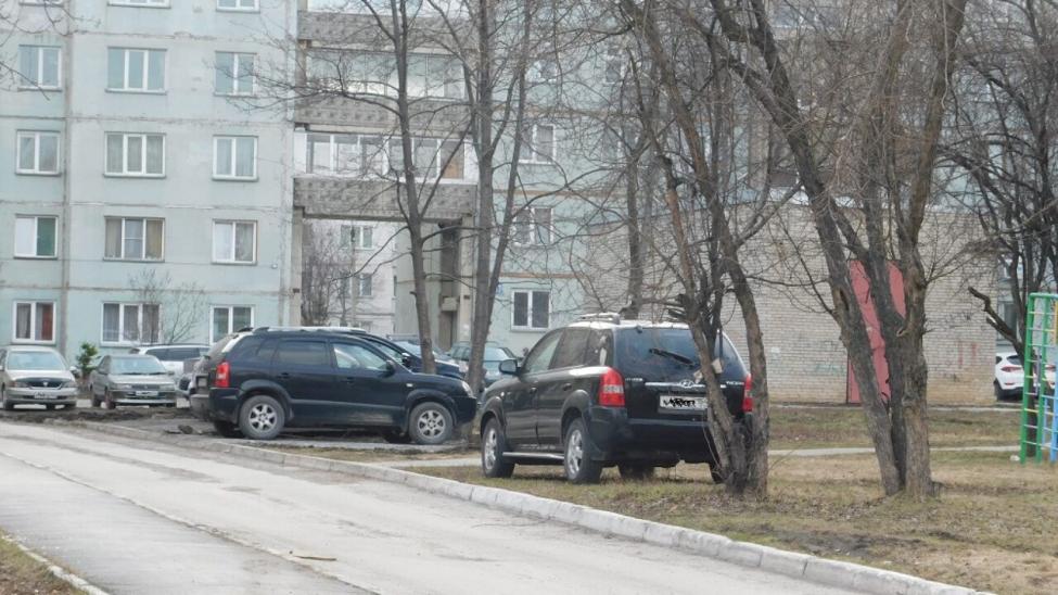 Привлекать к ответственности нерадивых автовладельцев будут в Линево -  Искитимская газета