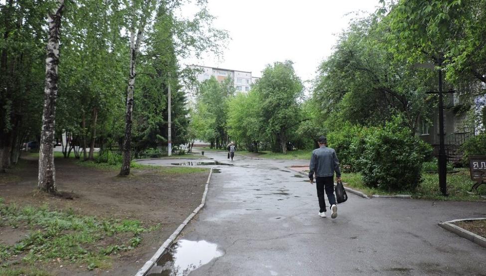 Дожди прогнозируют в Новосибирской области. Фото Анны Зубаревой