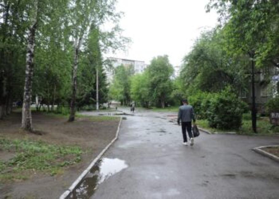 Дожди прогнозируют в Новосибирской области. Фото Анны Зубаревой