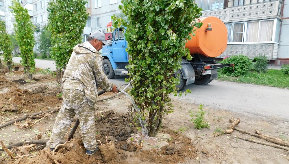 Во вторник, 18 июня, во всем поселке не было воды. Но саженцы не остались без полива. Организация поселка обеспечила водой участников работ по озелению. Фото Анны Зубаревой