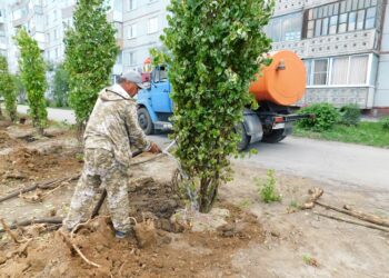 Во вторник, 18 июня, во всем поселке не было воды. Но саженцы не остались без полива. Организация поселка обеспечила водой участников работ по озелению. Фото Анны Зубаревой