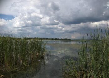 Дожди и грозы прогнозируют в ближайшие трое суток. Фото Анны Зубаревой