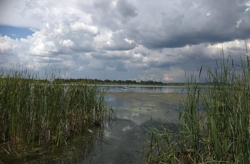 Дожди и грозы прогнозируют в ближайшие трое суток. Фото Анны Зубаревой