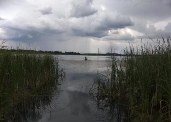 Грозовые ливни и сильный ветер на выходных. Фото Анны Зубаревой