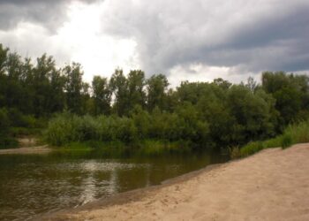 Пасмурно и дождливо будет на этой неделе. Фото Анны Зубаревой