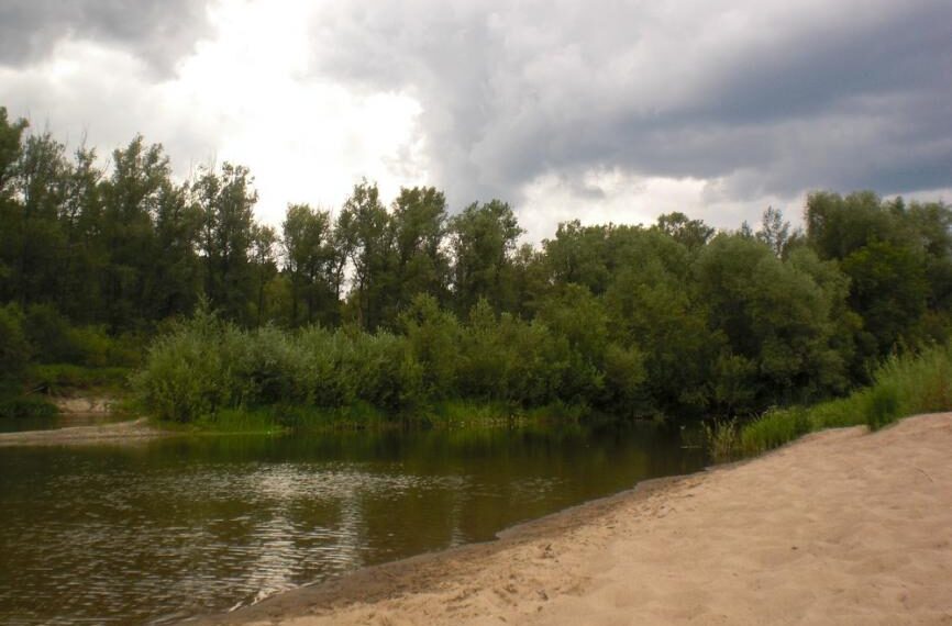 Пасмурно и дождливо будет на этой неделе. Фото Анны Зубаревой